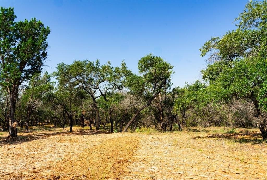 40 acres in Travis County - photo 20