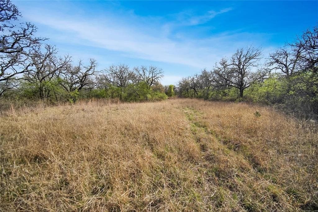 12.15 acres in Jack County - photo 12