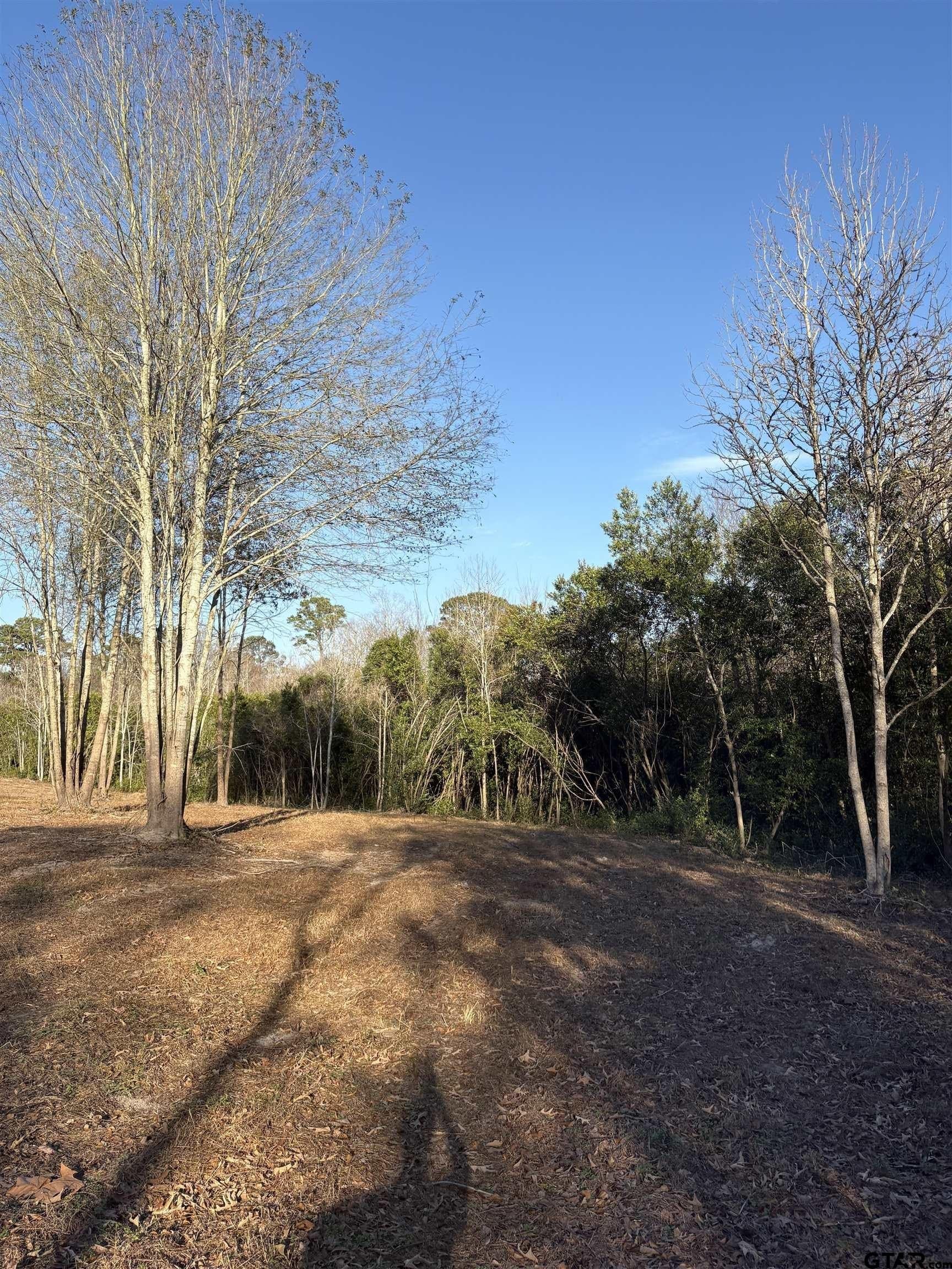 5.24 acres in Cherokee County - photo 5