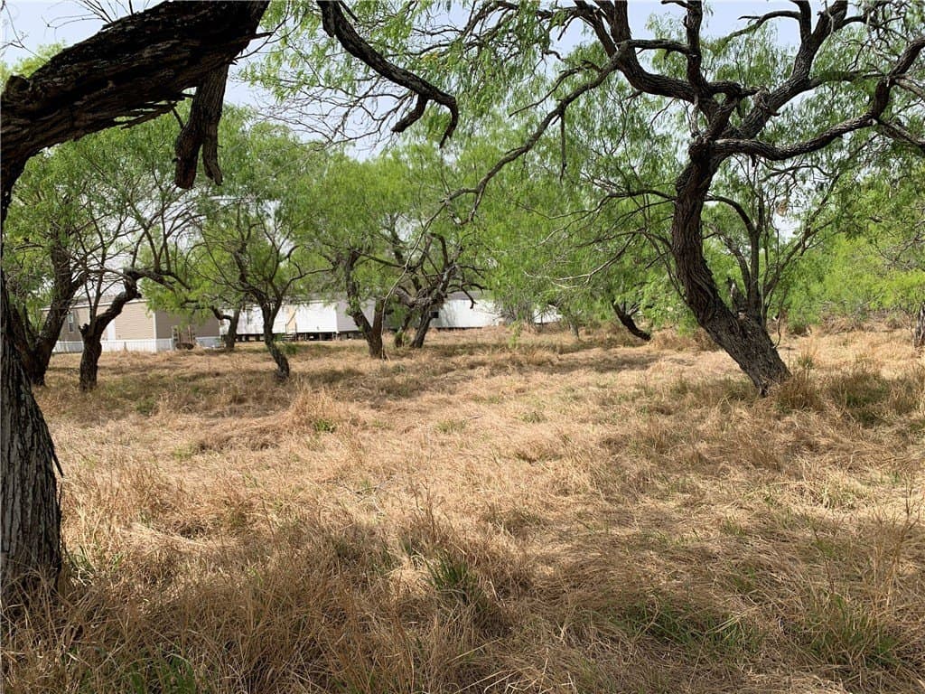 0.5 acres in Kleberg County - photo 2