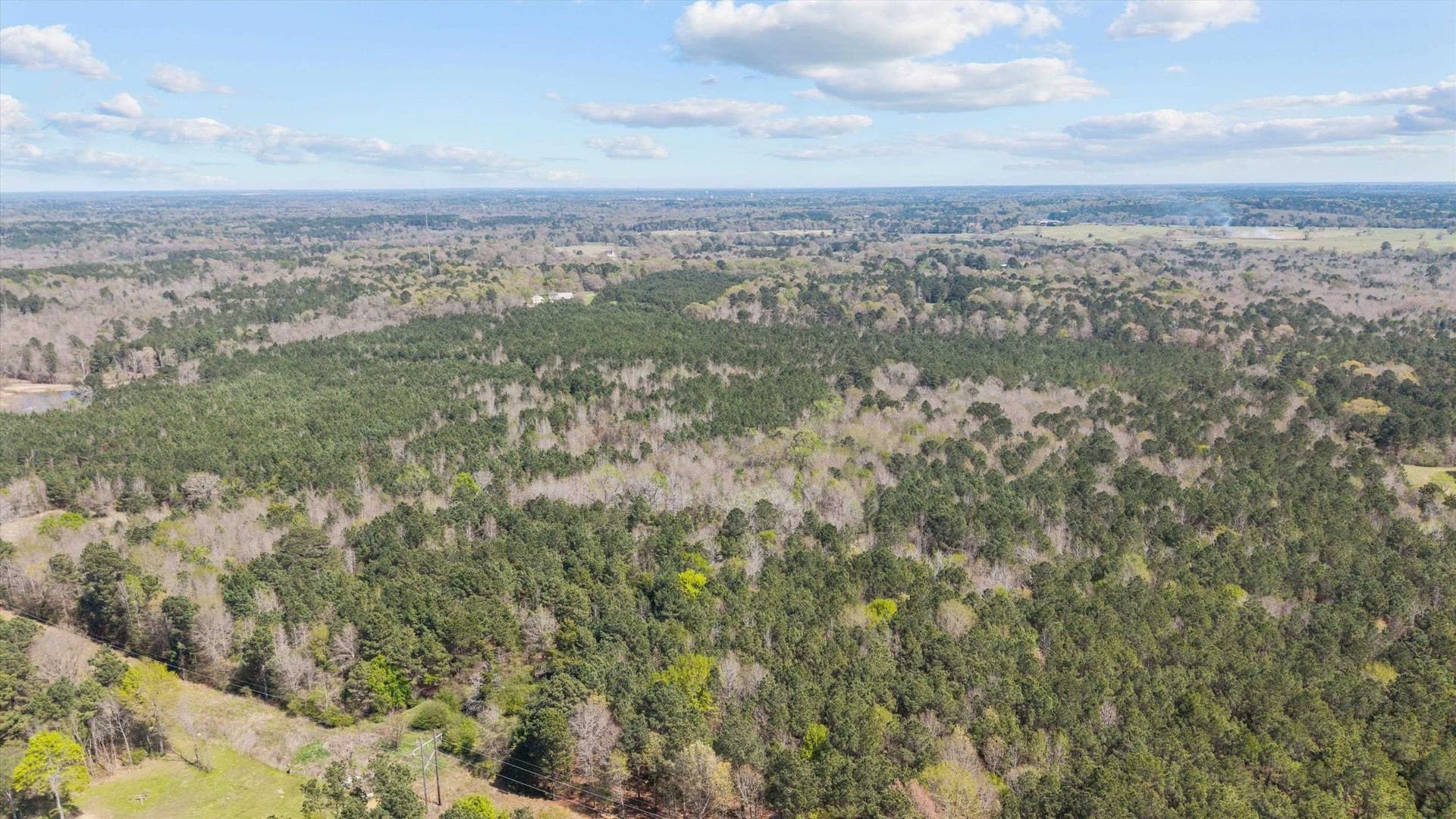 56.54 acres in Rusk County - photo 3