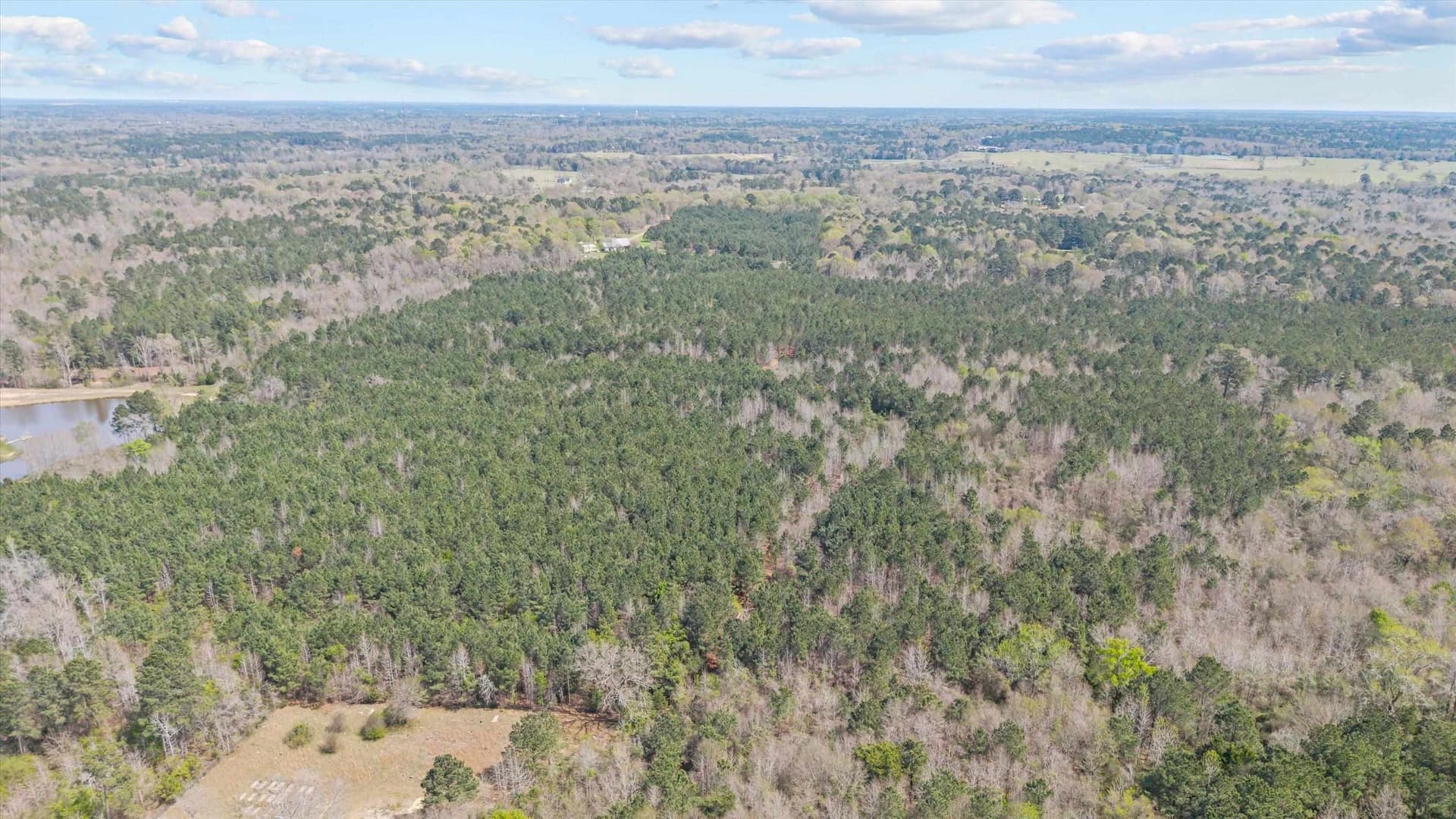 56.54 acres in Rusk County - photo 5