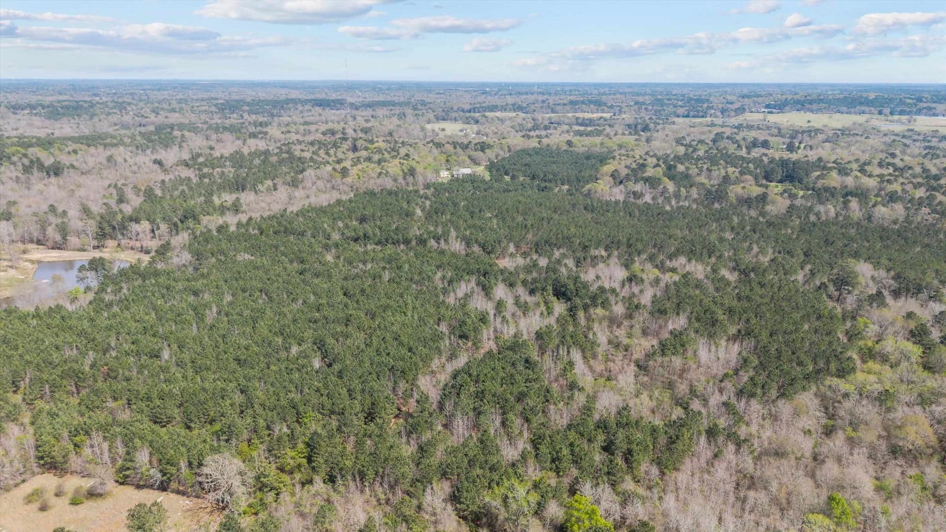 56.54 acres in Rusk County - photo 4