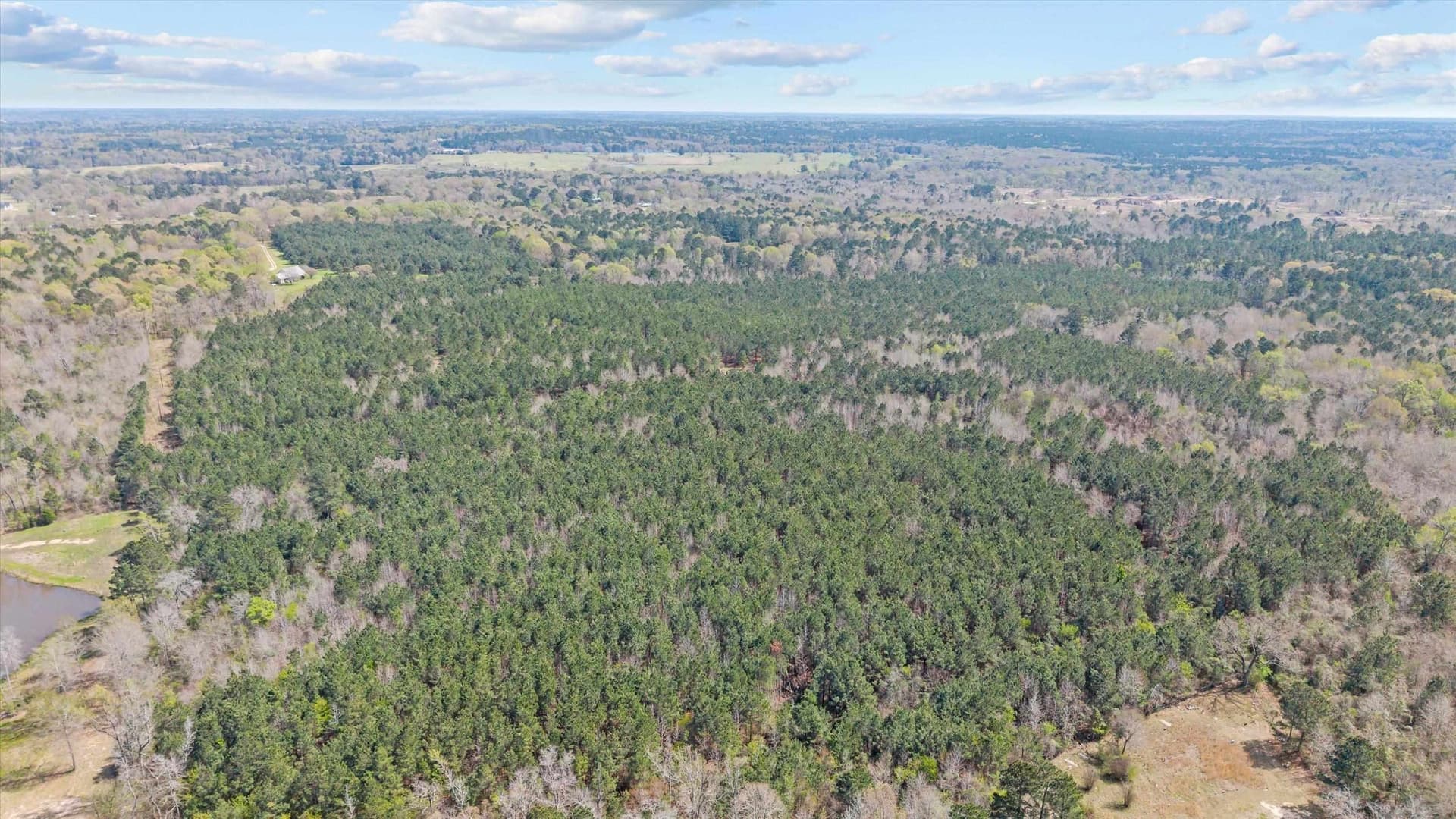 56.54 acres in Rusk County - photo 12