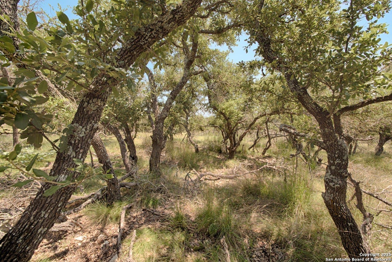 10.58 acres in Kimble County - photo 3