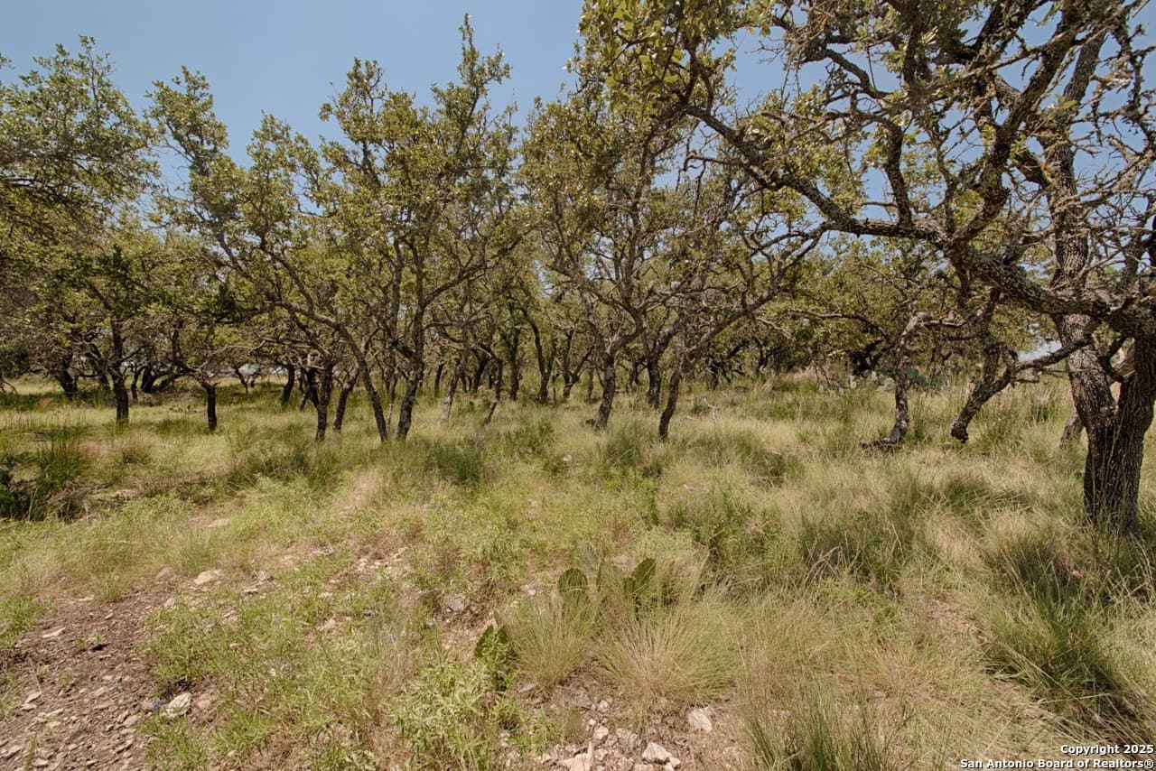 10.58 acres in Kimble County - photo 7