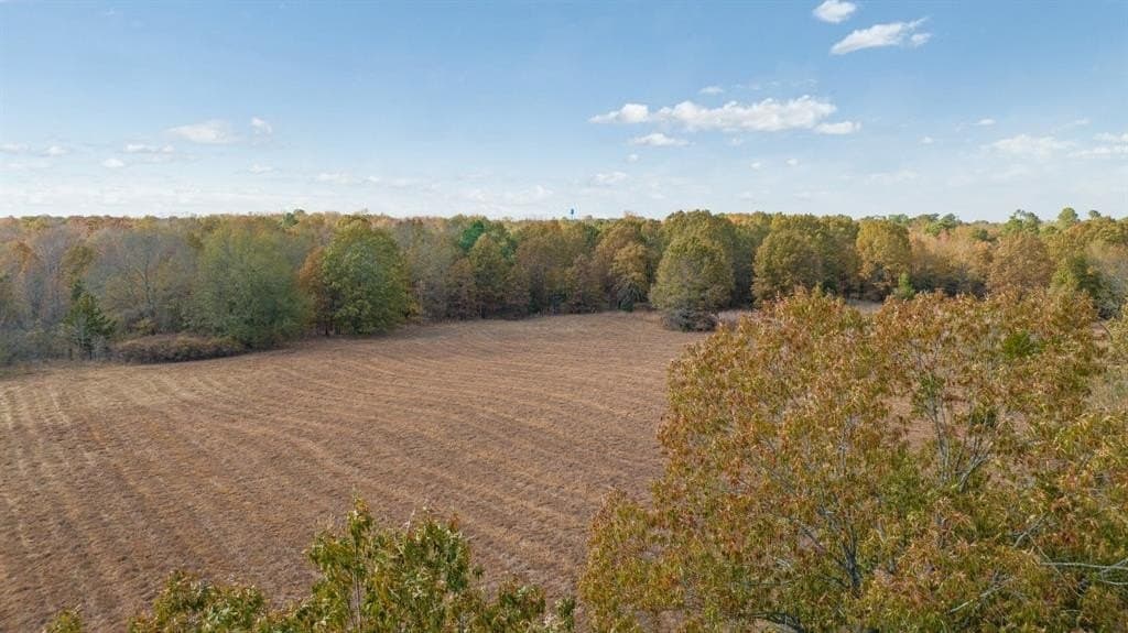 14.13 acres in Red River County - photo 4