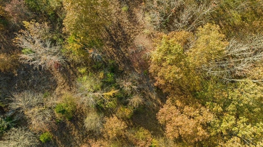 14.13 acres in Red River County - photo 7
