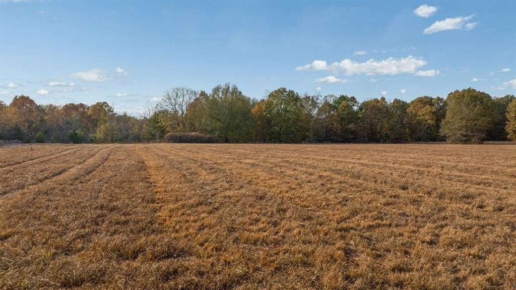 14.13 acres in Red River County - photo 16