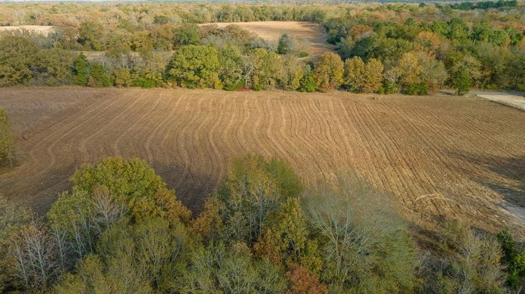14.13 acres in Red River County - photo 9