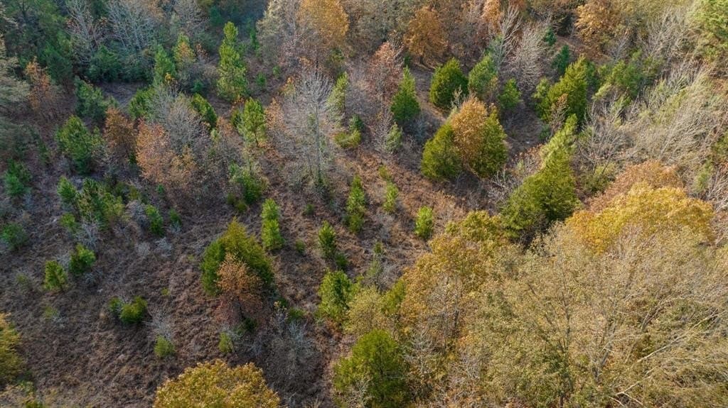 14.13 acres in Red River County - photo 8