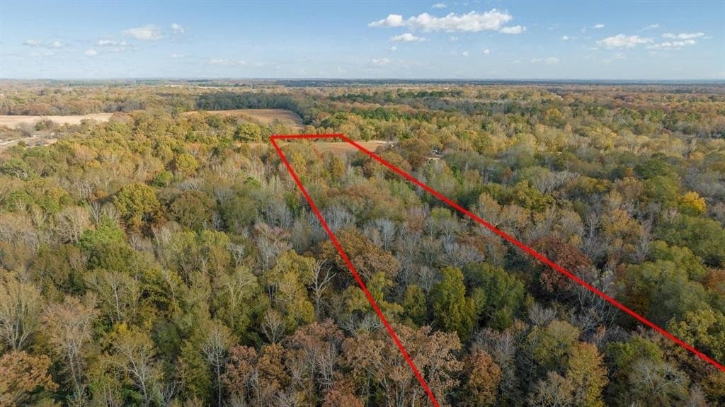 14.13 acres in Red River County - photo 2