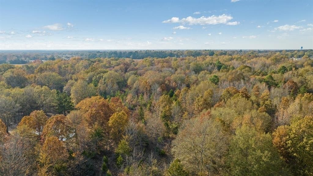 14.13 acres in Red River County - photo 6