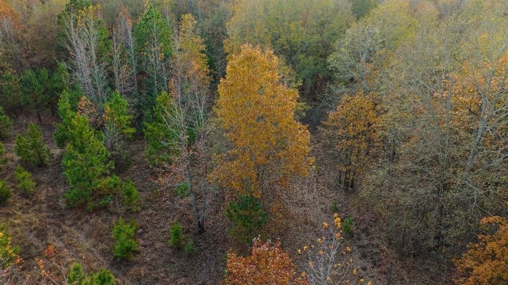 14.13 acres in Red River County - photo 14