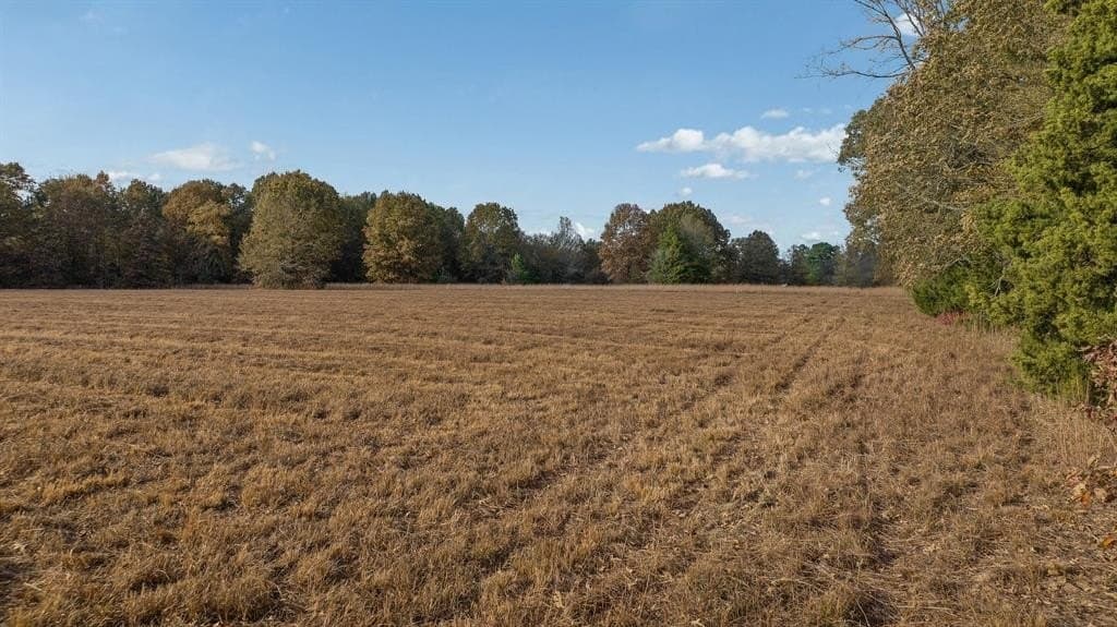 14.13 acres in Red River County - photo 15