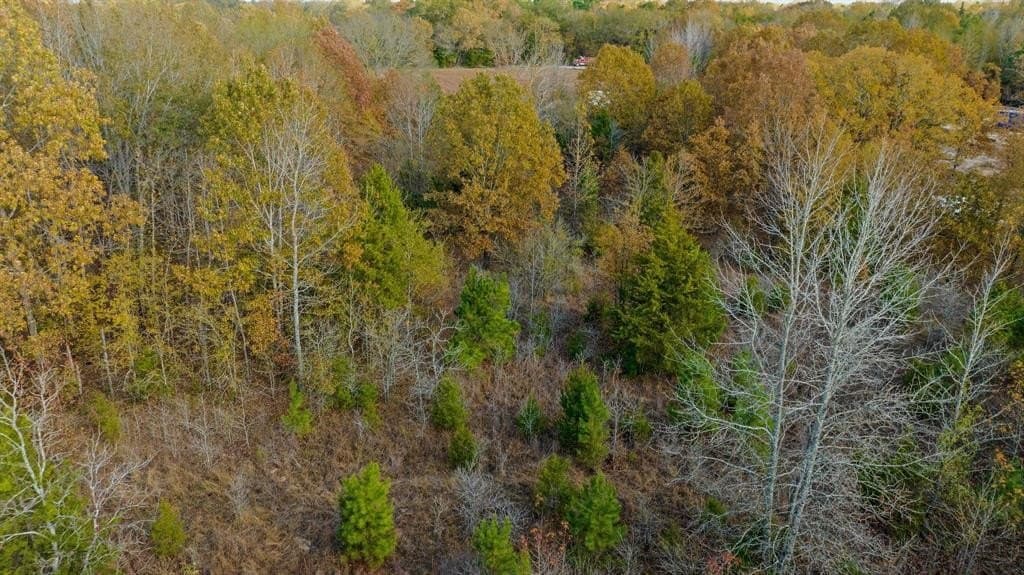 14.13 acres in Red River County - photo 11