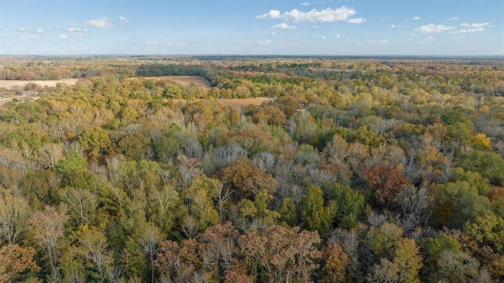 14.13 acres in Red River County - photo 10