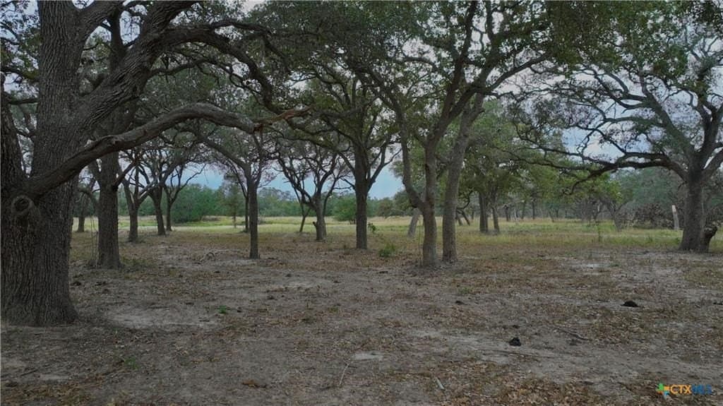12.81 acres in Texas County - photo 11