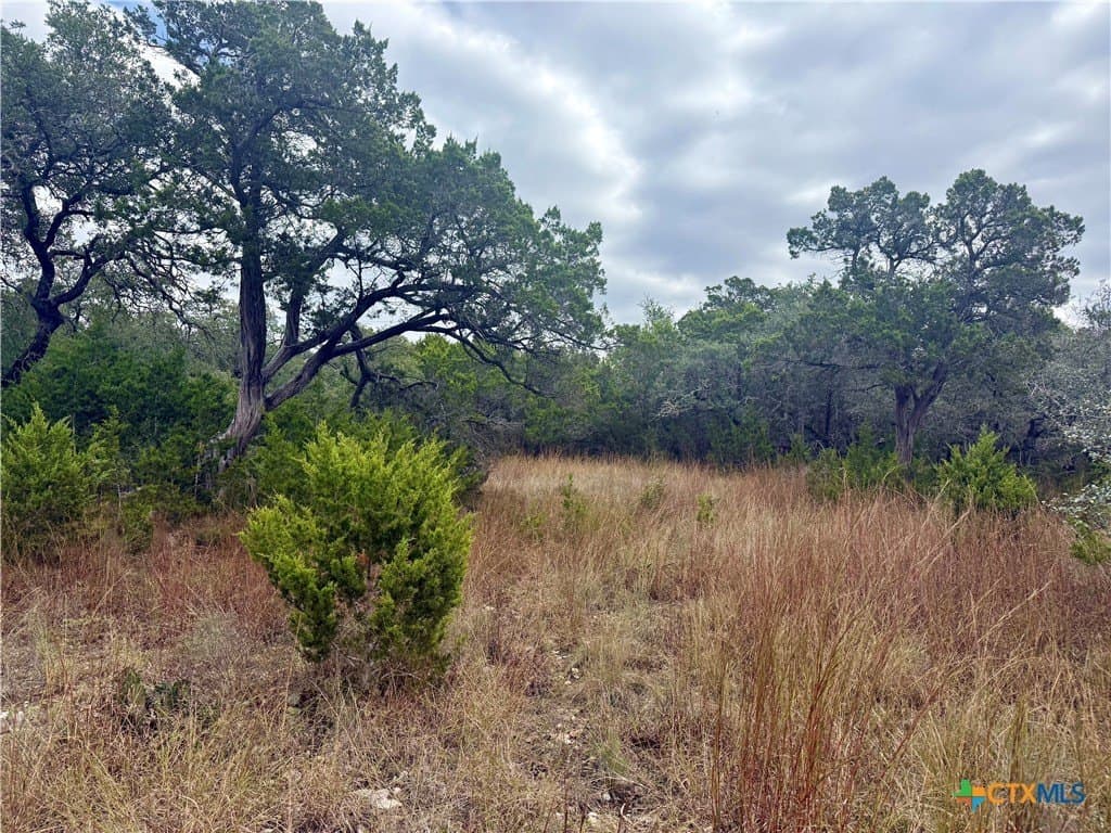 1.05 acres in Comal County - photo 9