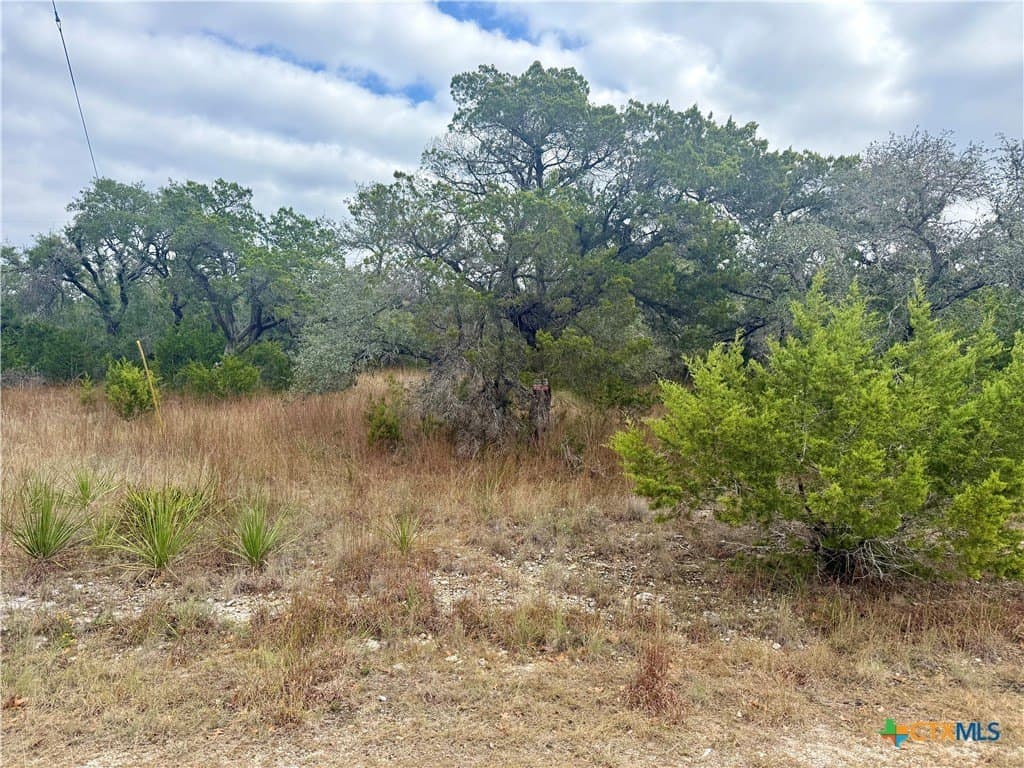 1.05 acres in Comal County - photo 8