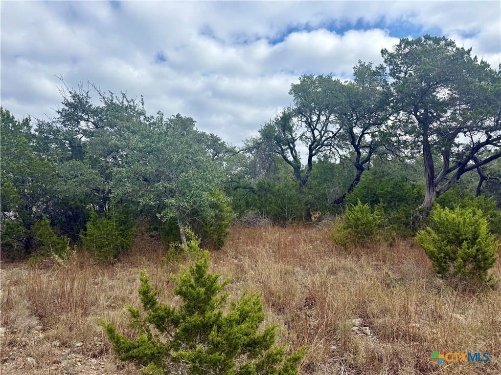 1.05 acres in Comal County - photo 10