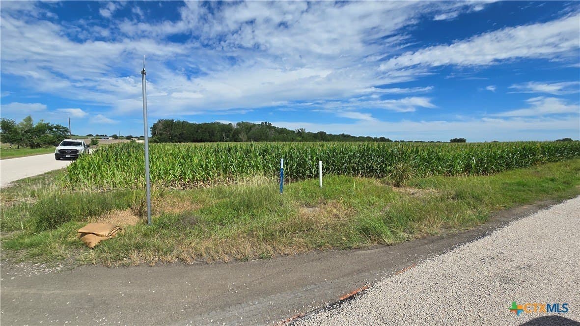 58.89 acres in Bell County - photo 15