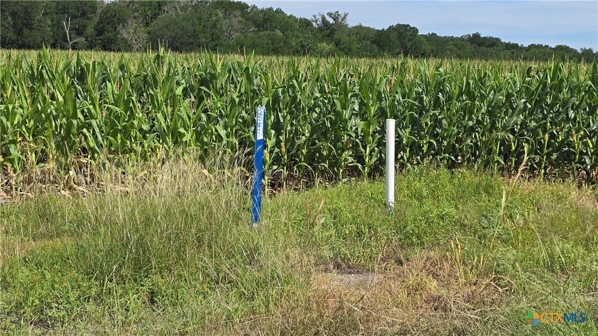 58.89 acres in Bell County - photo 14