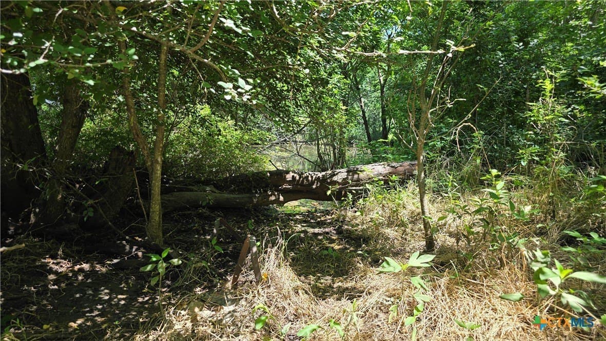 58.89 acres in Bell County - photo 22