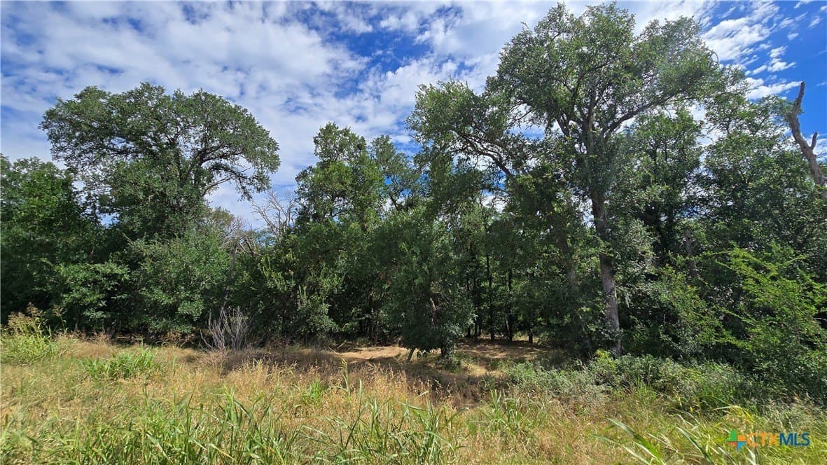 58.89 acres in Bell County - photo 18