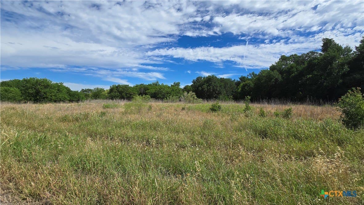 58.89 acres in Bell County - photo 19