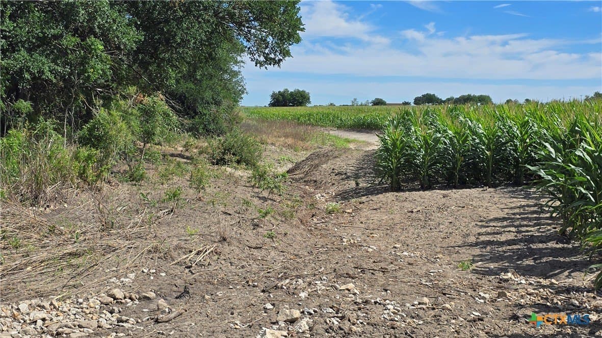 58.89 acres in Bell County - photo 16