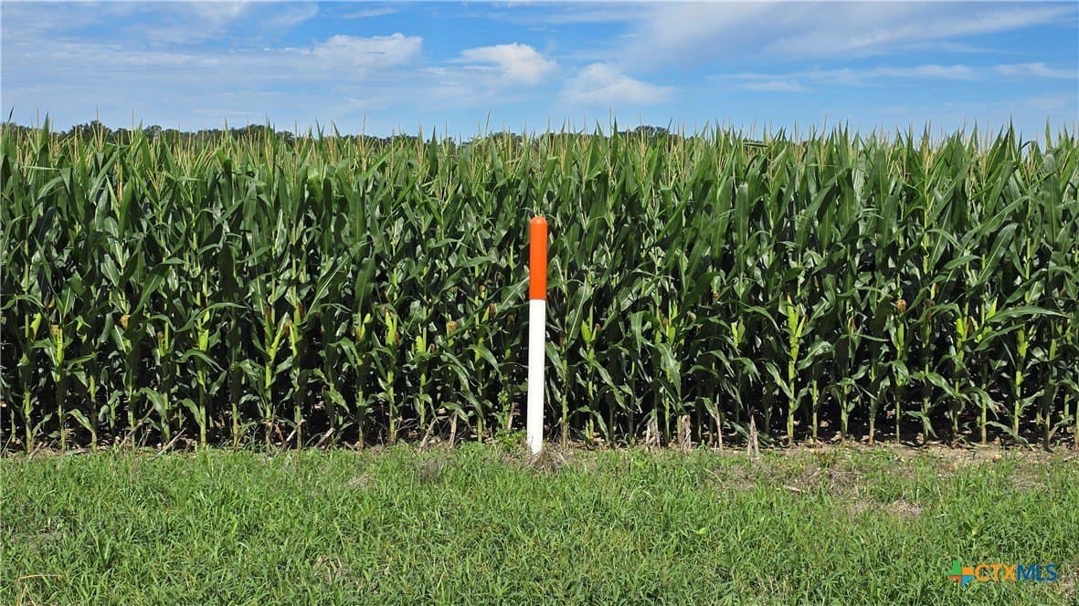 58.89 acres in Bell County - photo 12
