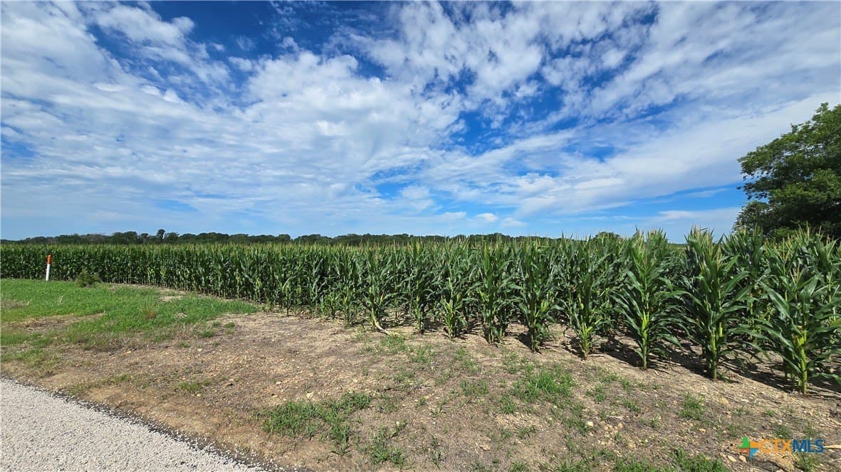 58.89 acres in Bell County - photo 11