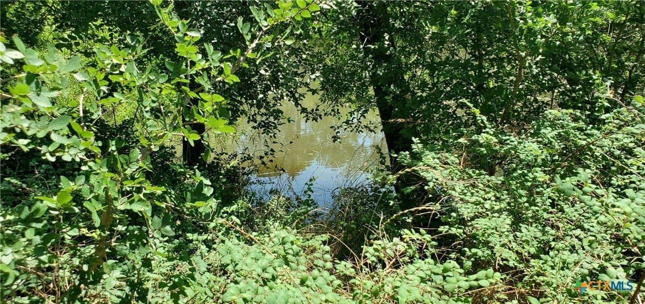 58.89 acres in Bell County - photo 21