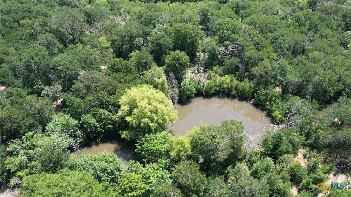 58.89 acres in Bell County - photo 9