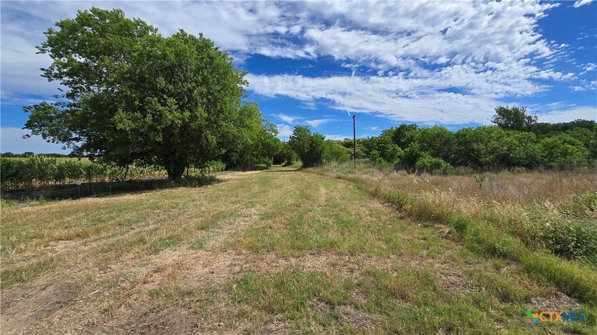 58.89 acres in Bell County - photo 20