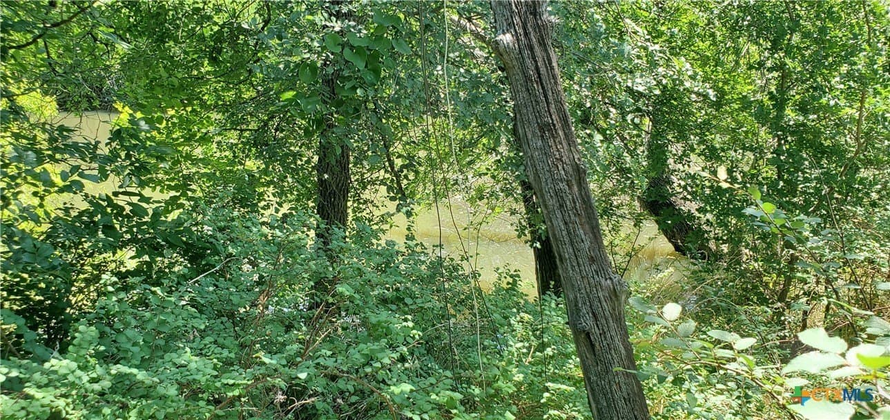 58.89 acres in Bell County - photo 23