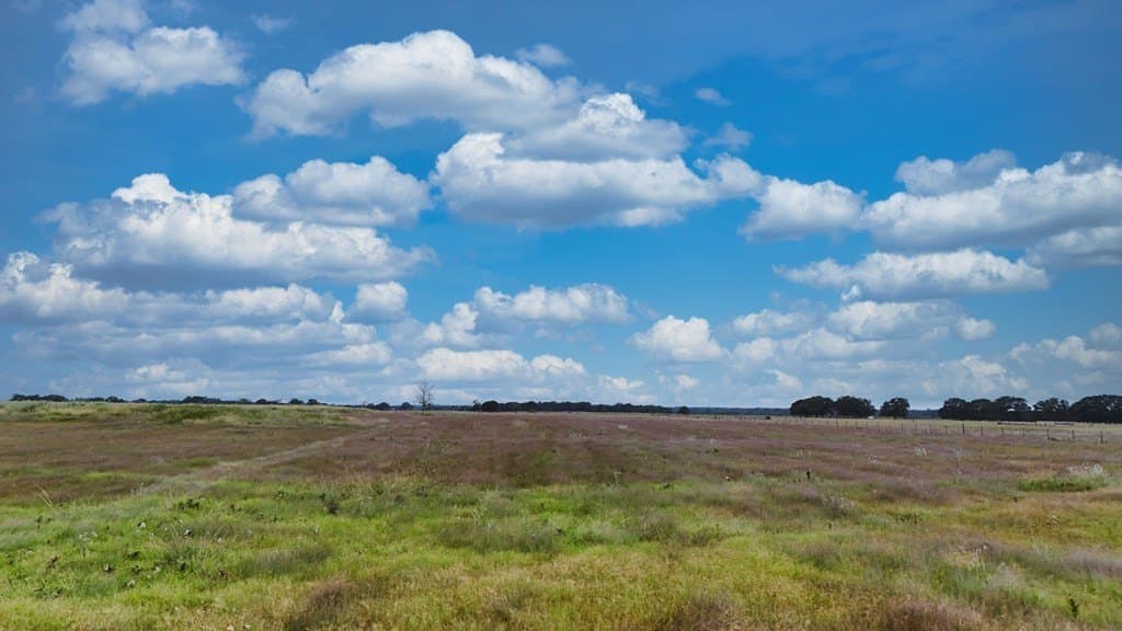 10 acres in Kaufman County - photo 17