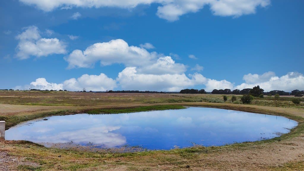 10 acres in Kaufman County - photo 13