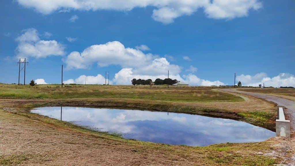 10 acres in Kaufman County - photo 14
