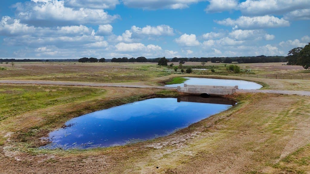 10 acres in Kaufman County - photo 15