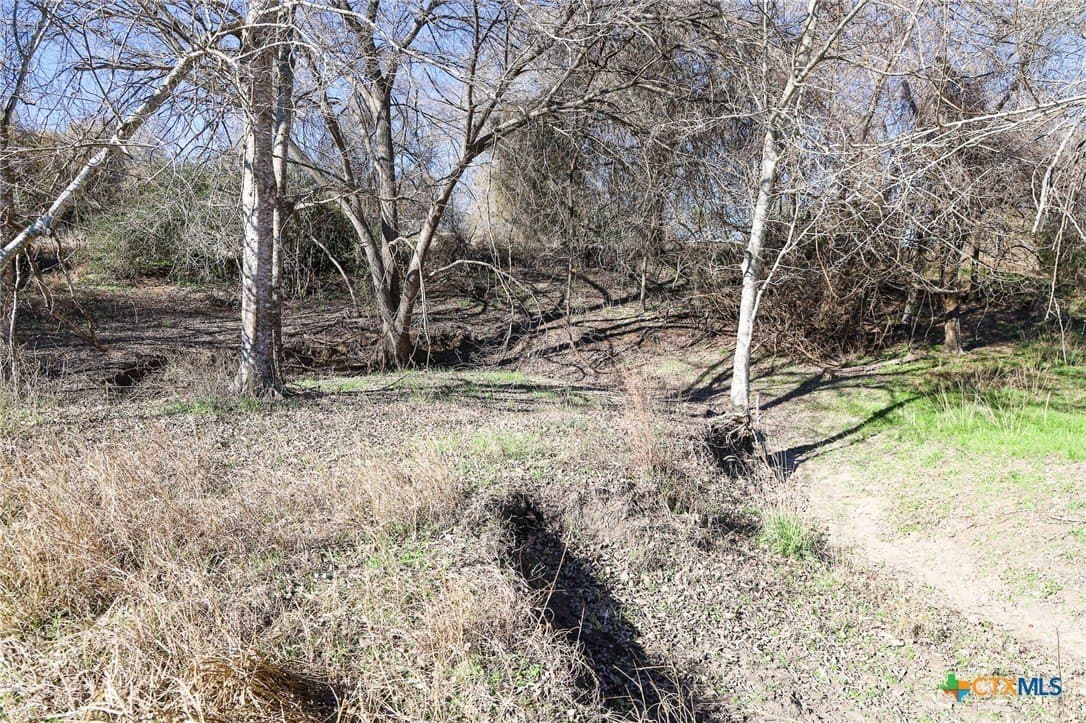 4.79 acres in Lavaca County - photo 3