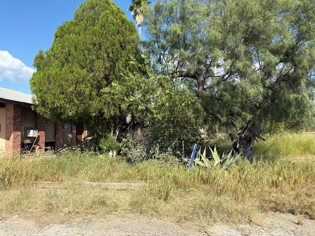 20,625 acres in Zavala County - photo 3