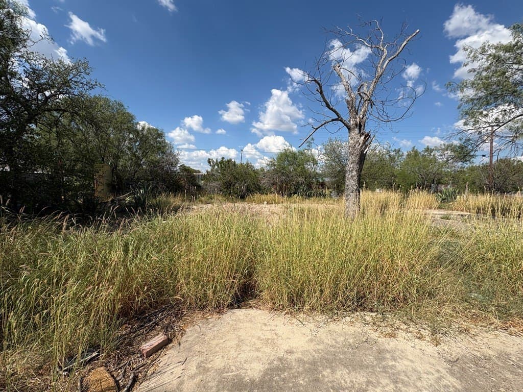 20,625 acres in Zavala County - photo 18