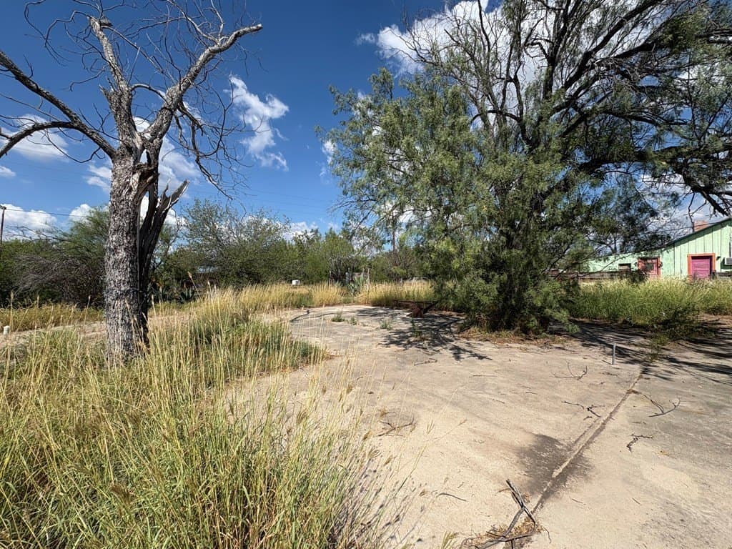 20,625 acres in Zavala County - photo 17
