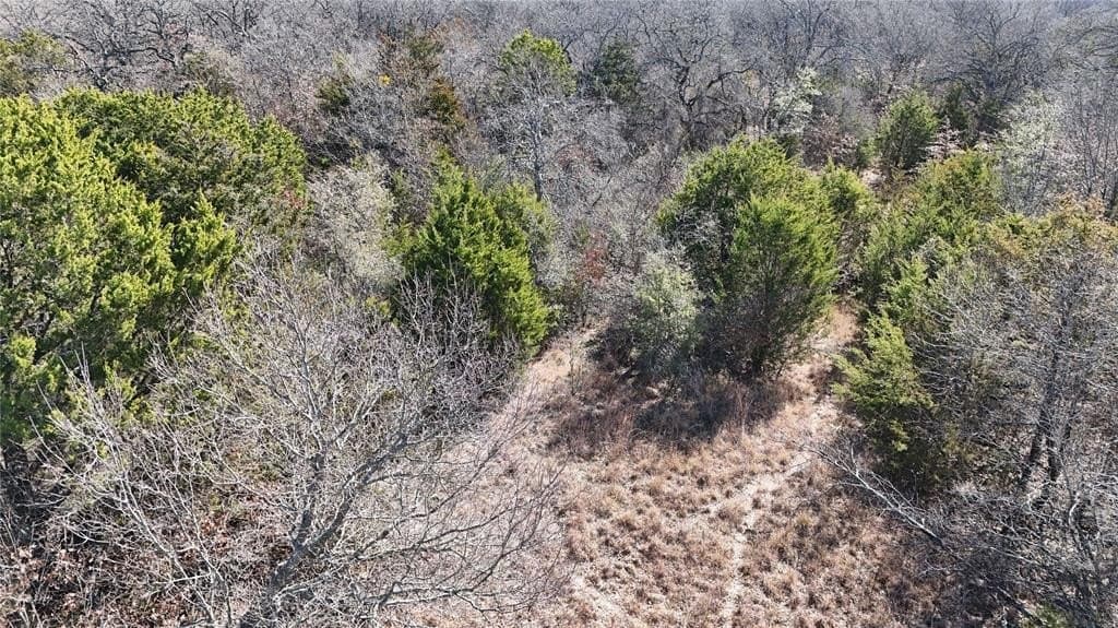 18 acres in Parker County - photo 6