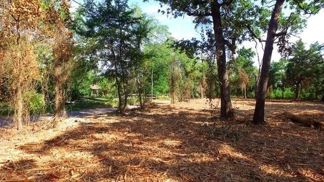 0.5 acres in Grayson County - photo 10
