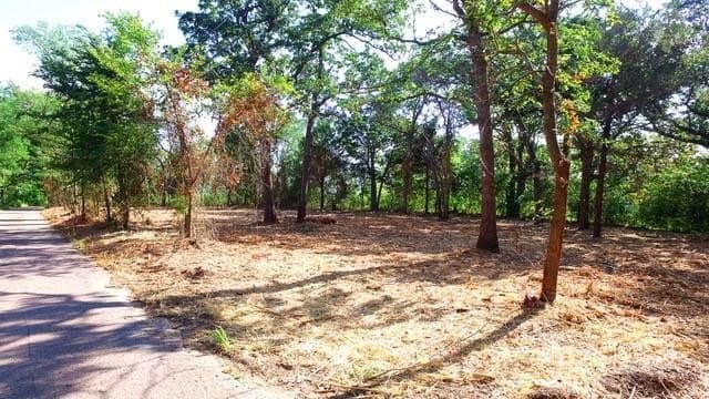 0.5 acres in Grayson County - photo 9