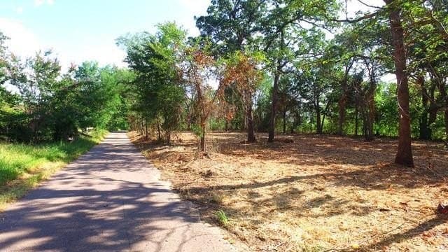 0.5 acres in Grayson County - photo 8