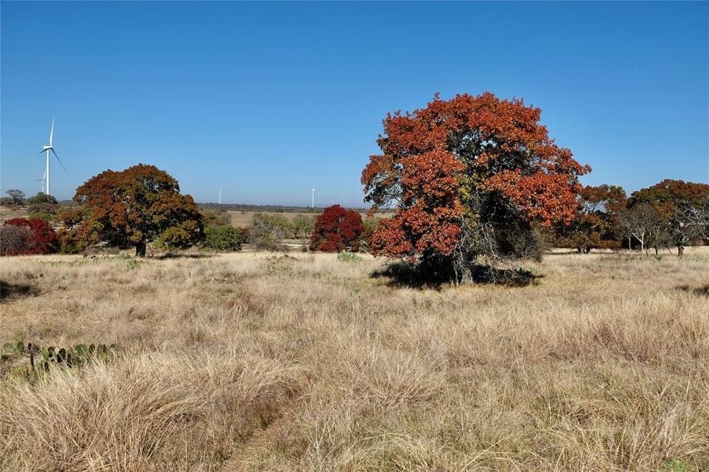 34 acres in Mills County - photo 8